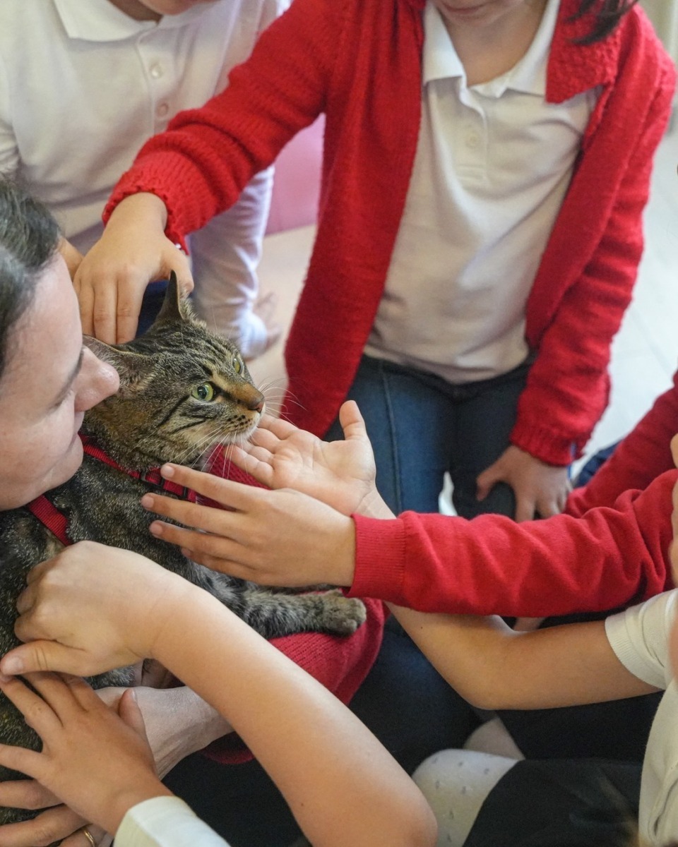 WhatsApp Image 2026-03-16 at 19.14.52 (3)