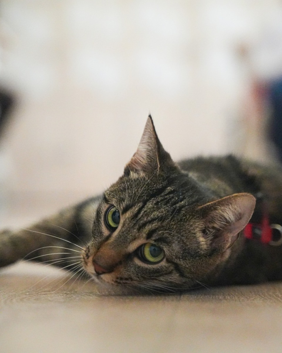 WhatsApp Image 2026-03-16 at 19.14.52 (4)