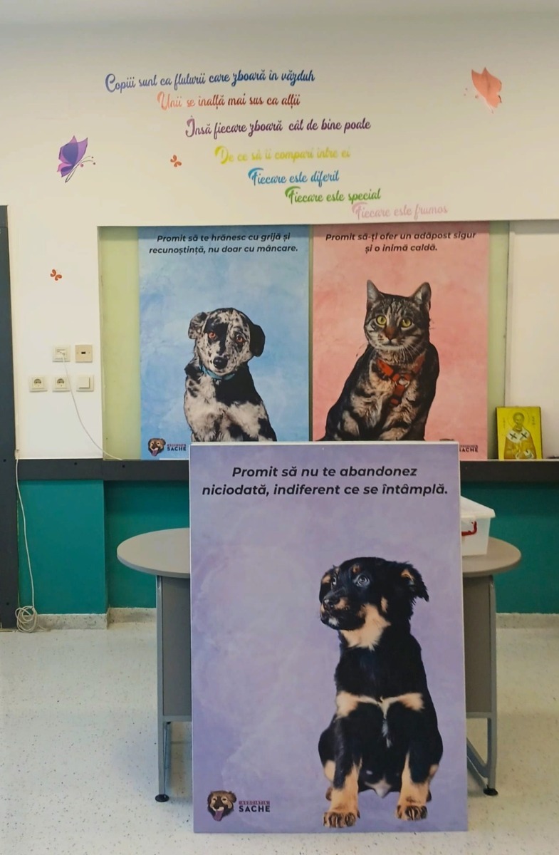 WhatsApp Image 2026-03-16 at 19.14.52 (5)