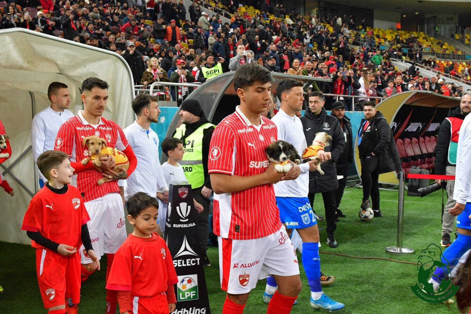 WhatsApp Image 2026-03-20 at 09.39.39 (8)