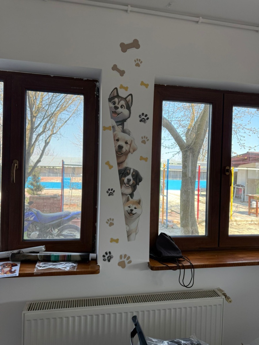 WhatsApp Image 2026-03-27 at 18.26.21 (1)