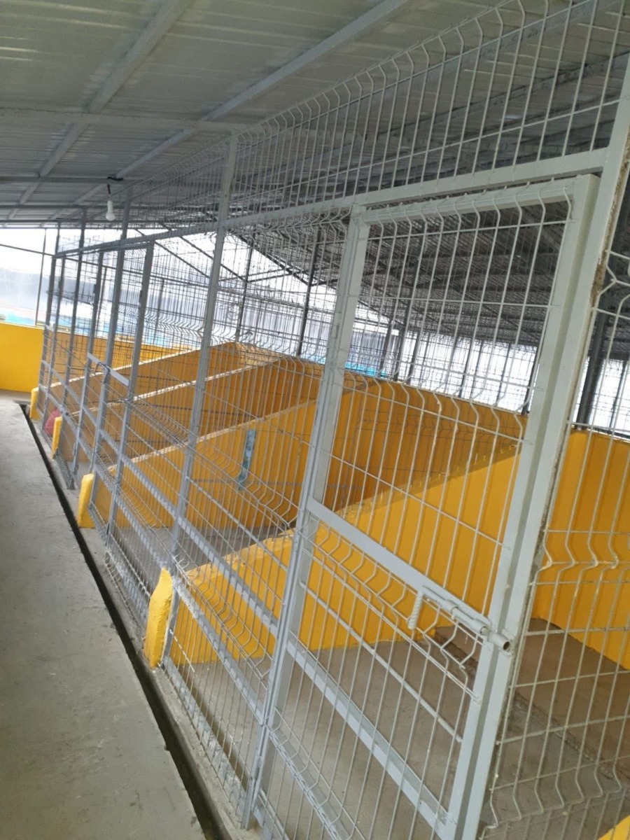 WhatsApp Image 2026-03-27 at 18.26.21 (2)