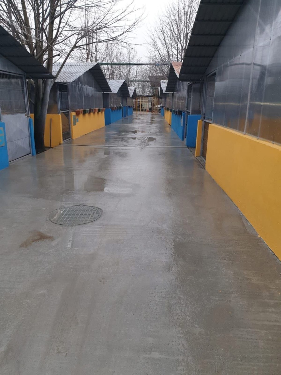 WhatsApp Image 2026-03-27 at 18.26.22 (2)