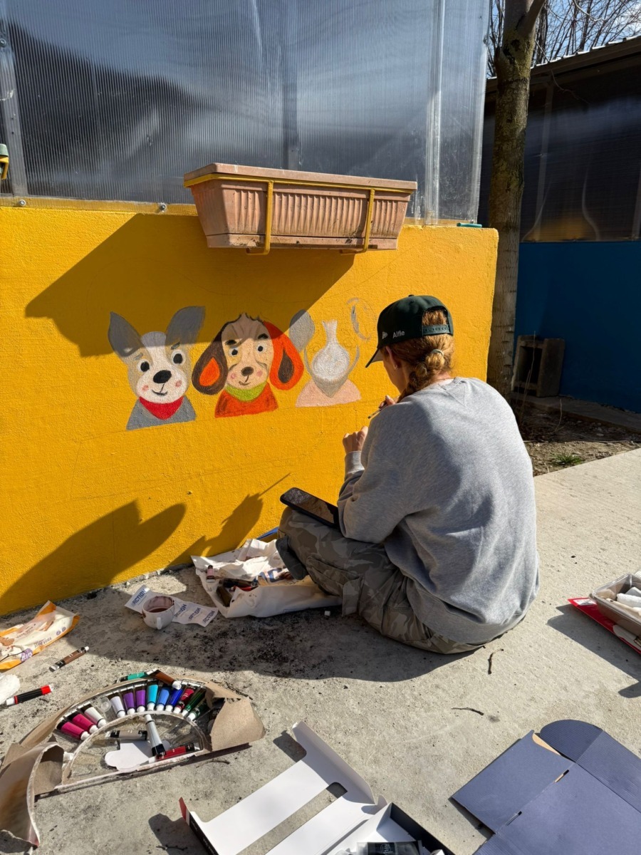 WhatsApp Image 2026-03-27 at 18.26.22 (3)