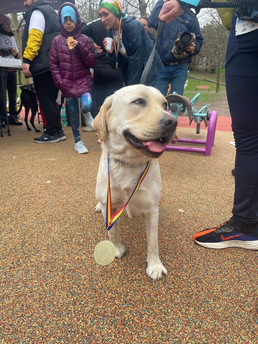 WhatsApp Image 2026-03-28 at 16.12.05 (2)