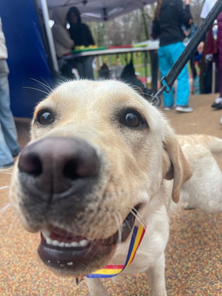 WhatsApp Image 2026-03-28 at 16.12.05