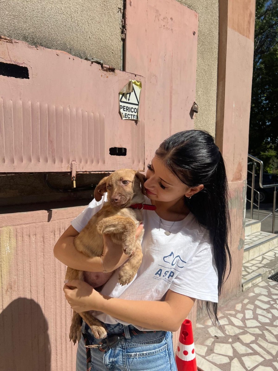 WhatsApp Image 2026-03-28 at 18.45.04 (1)