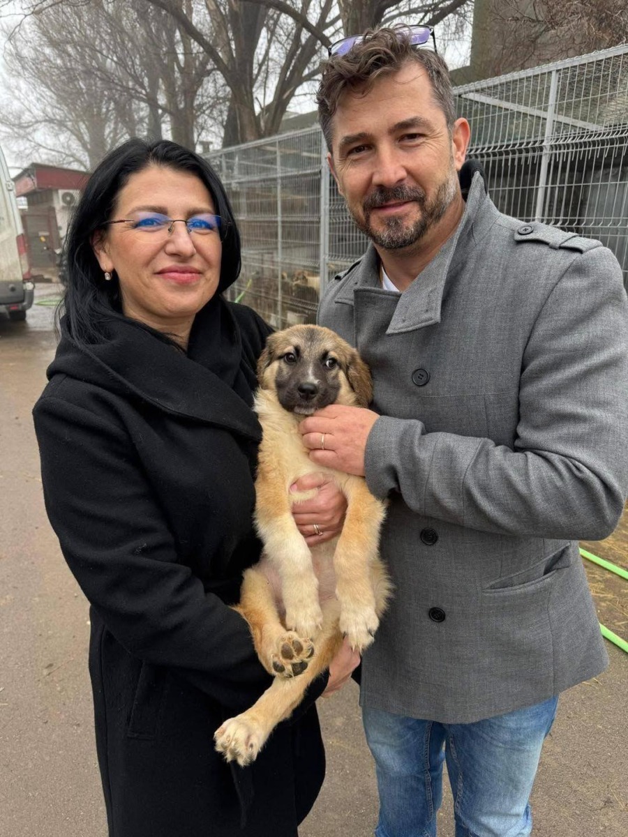 un cuplu a adoptat un caine