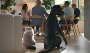 Câinele și pisica lui Andre Agassi stau lângă masa la care se află mai mulți invitați