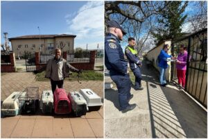 Autorități în timpul controalelor la proprietarii de animale