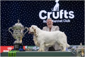 Buin, câștigătorul Cruft 2026, și stăpânul său