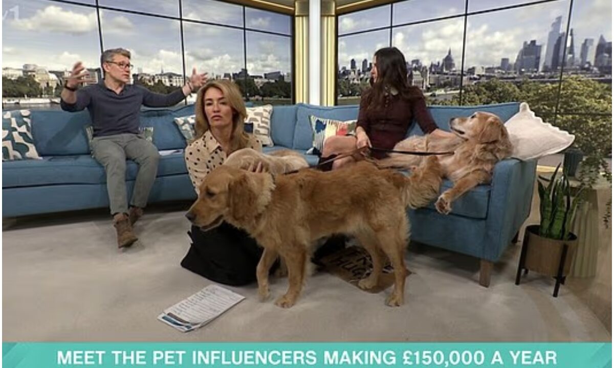 Câini influenceri la emisiunea This Morning