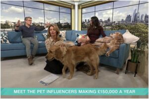 Câini influenceri la emisiunea This Morning