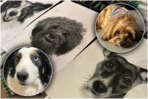 Portrete de câini și modelele lor