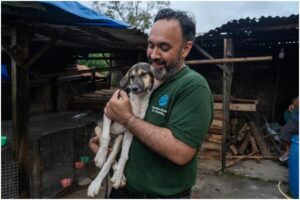 Un voluntar Humane World și un câine salvat din abator