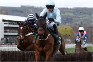 Calul care a murit în timpul competiției