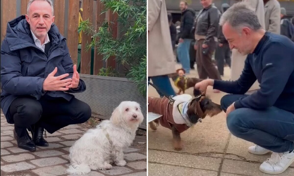 capitala-cainilor-paris-are-un-nou-primar