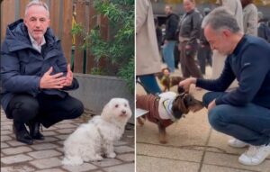 capitala-cainilor-paris-are-un-nou-primar