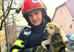 Un pompier din Timiș ține un cățel în brațe