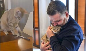 cathy-si-primarul-ciucu