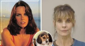 celebra-actrita-din-Baywatch-a-ajuns-la-inchisoare