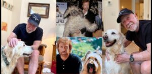 chuck norris si animalele