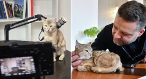 Ciprian Ciucu si pisica