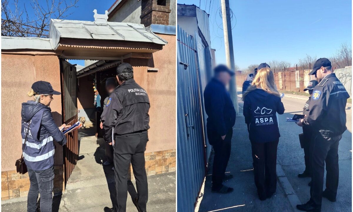 Poliția Locală și reprezentanți ASPA vorbind cu proprietari de câini din București