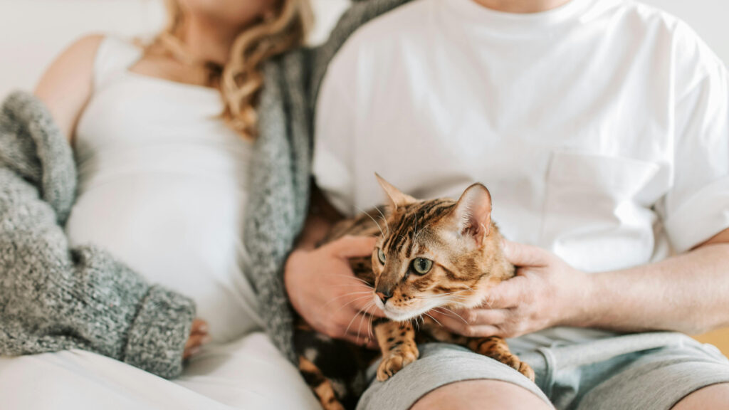 Cuplu cu o femeie însărcinată și un bărbat care ține o pisică pe genunchi.