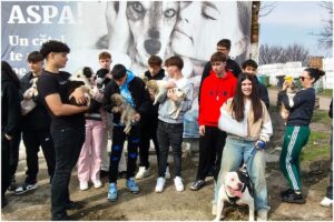 Elevi de liceu care interacționează cu câini din adăpost