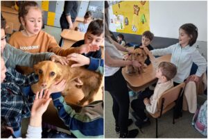 Elevi care mângâie un câine
