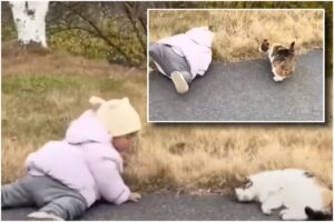 Fetiță care cade și o pisică lângă ea