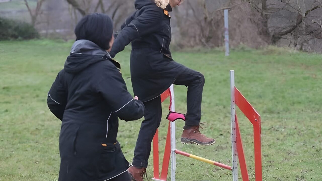 Ședință de hobby dogging, dresaj cu lesă fără câine