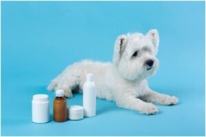 Câine alb lângă sticle cu medicamente