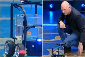 Peștișor auriu care conduce o mașinuță