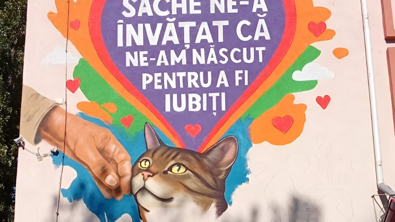 Mural cu pisica Luna