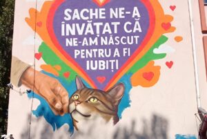 Mural cu pisica Luna