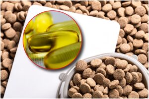 hrană de animale și omega 3