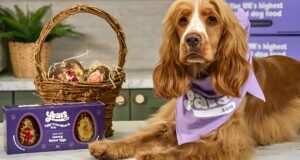 Un câine stă lângă un coș și o cutie cu ouă de Paște pentru căței