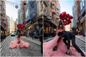 pisică în timpul unei ședințe foto