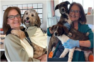 Femeie care ține pui de câine în brațe