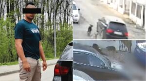 prima-reactie-a-subofiterului-mapn-care-a-calcat-cu-masina-un-caine-