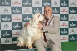 Bruin și proprietarul său, Lee Cox, la Crufts 2026