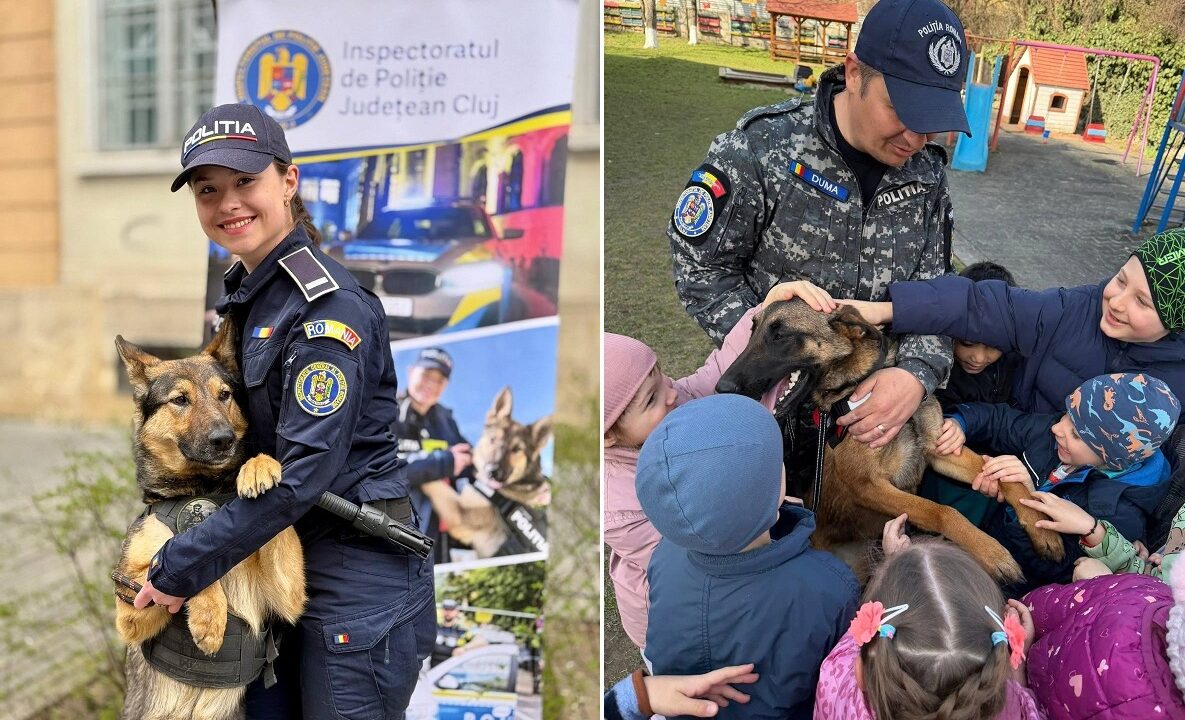 protectia-animalelor