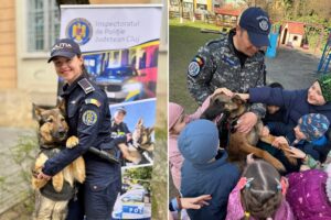 protectia-animalelor