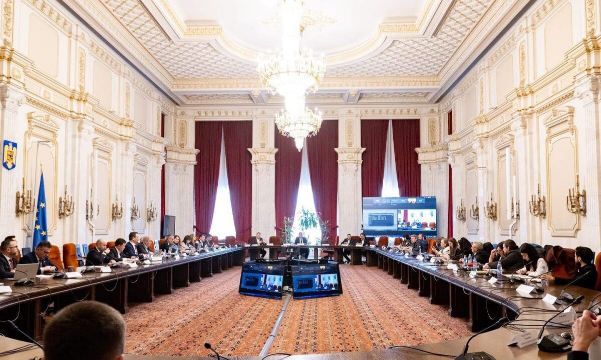 senat-caini-fara-stapan