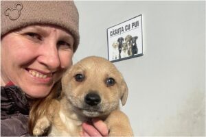 Pui de câine ținut în brațe