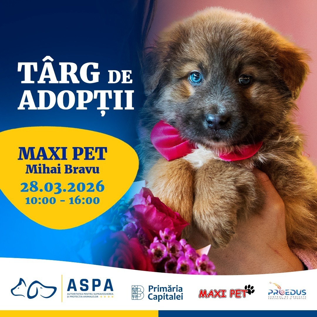 targ de adoptii