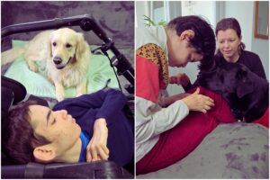 Persoane cu dizabilități și câini