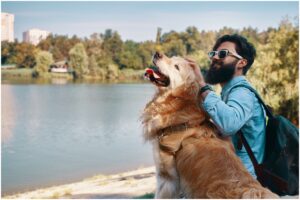 Câine lângă un bărbat